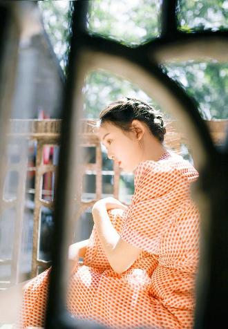 成人动漫在线观看